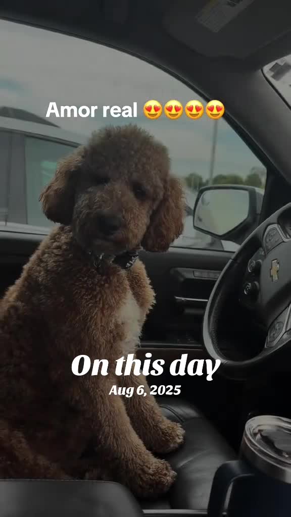 @Reyna y Churro 🐶😍