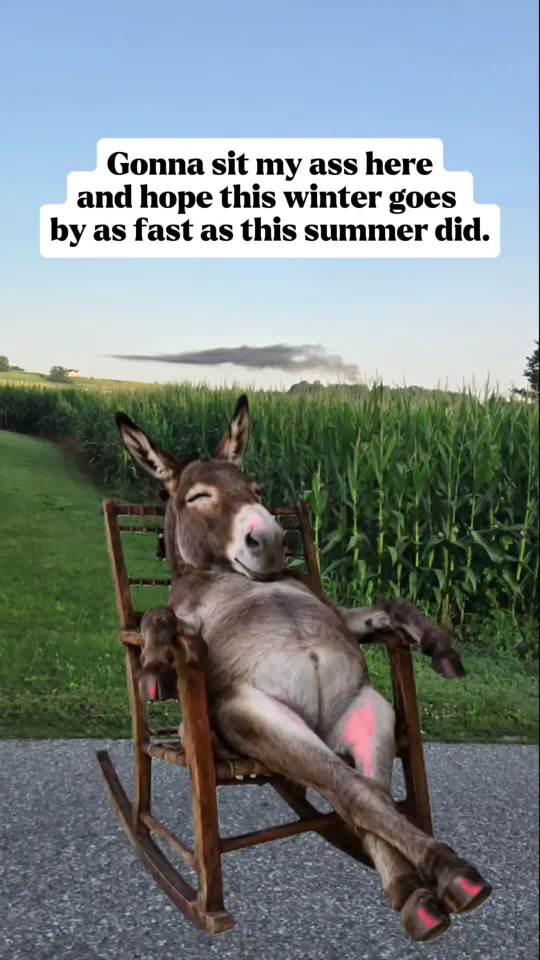 @SnOoP