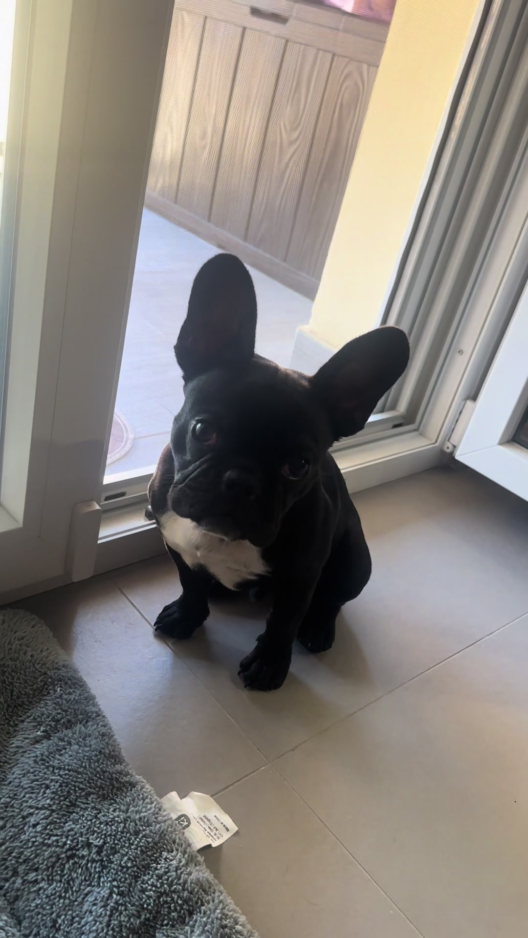 @Bullo_mal&ugrave;