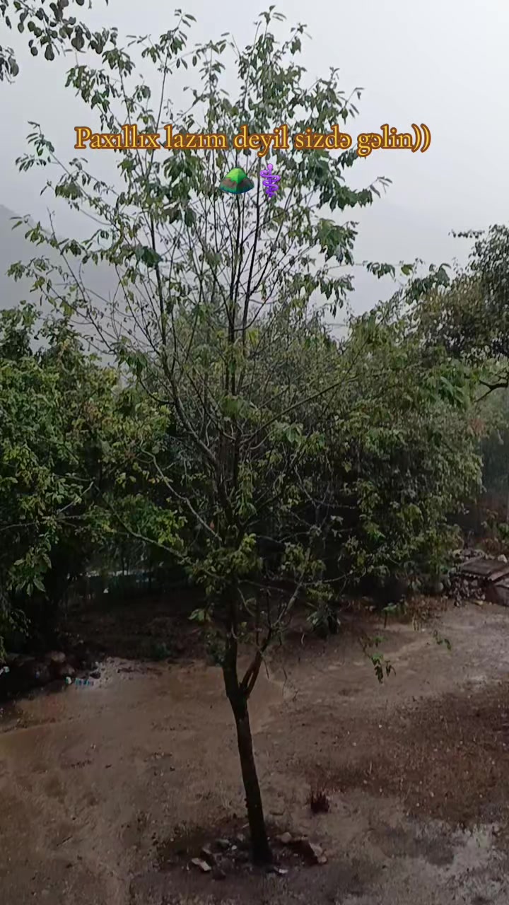@Şah.00&sup1;.