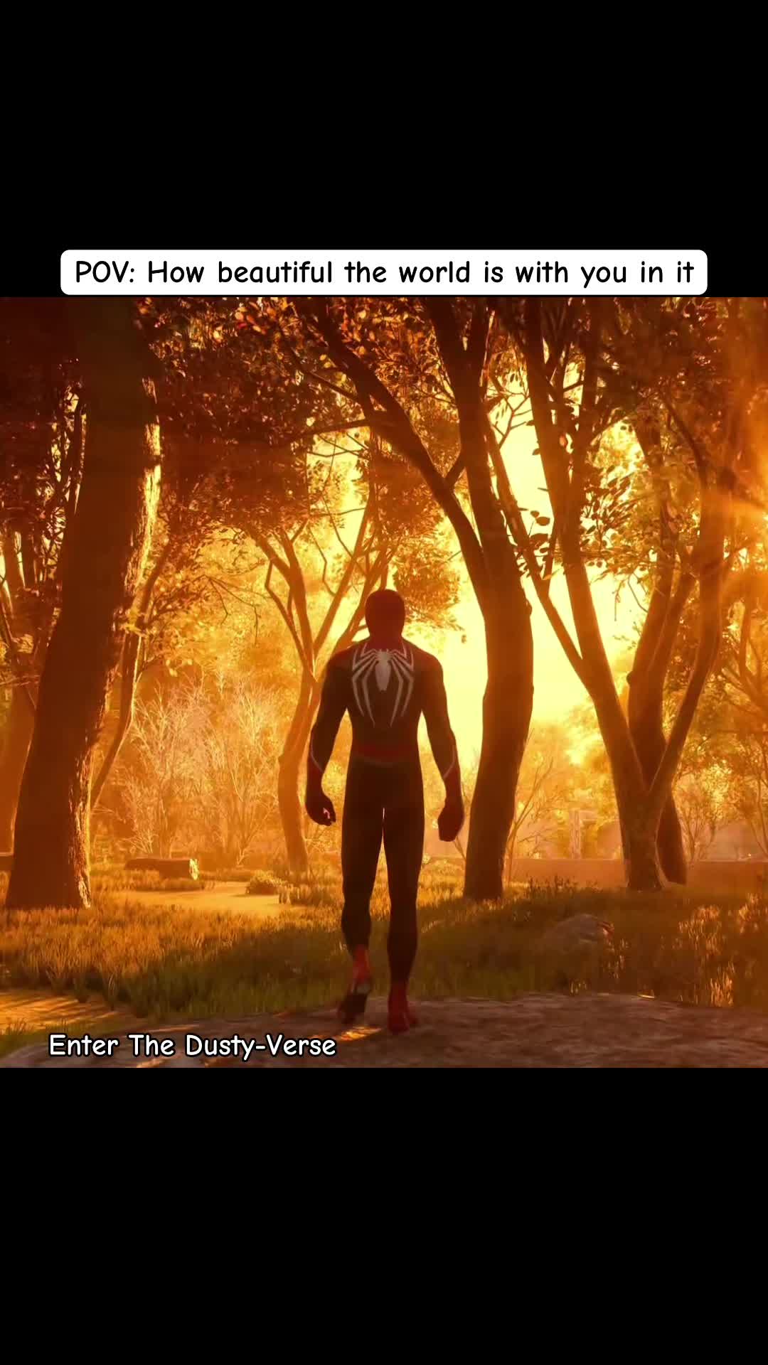 @thedustyhero