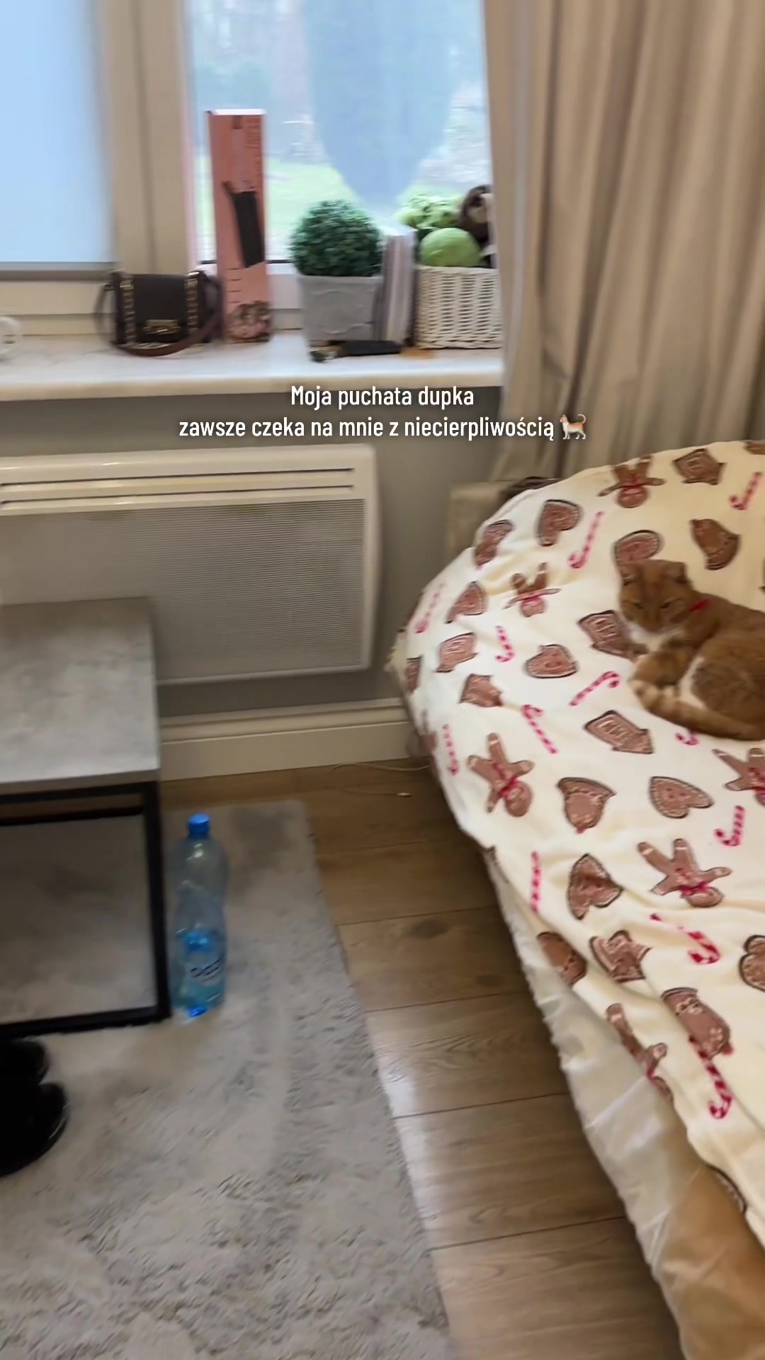 @Olivvka