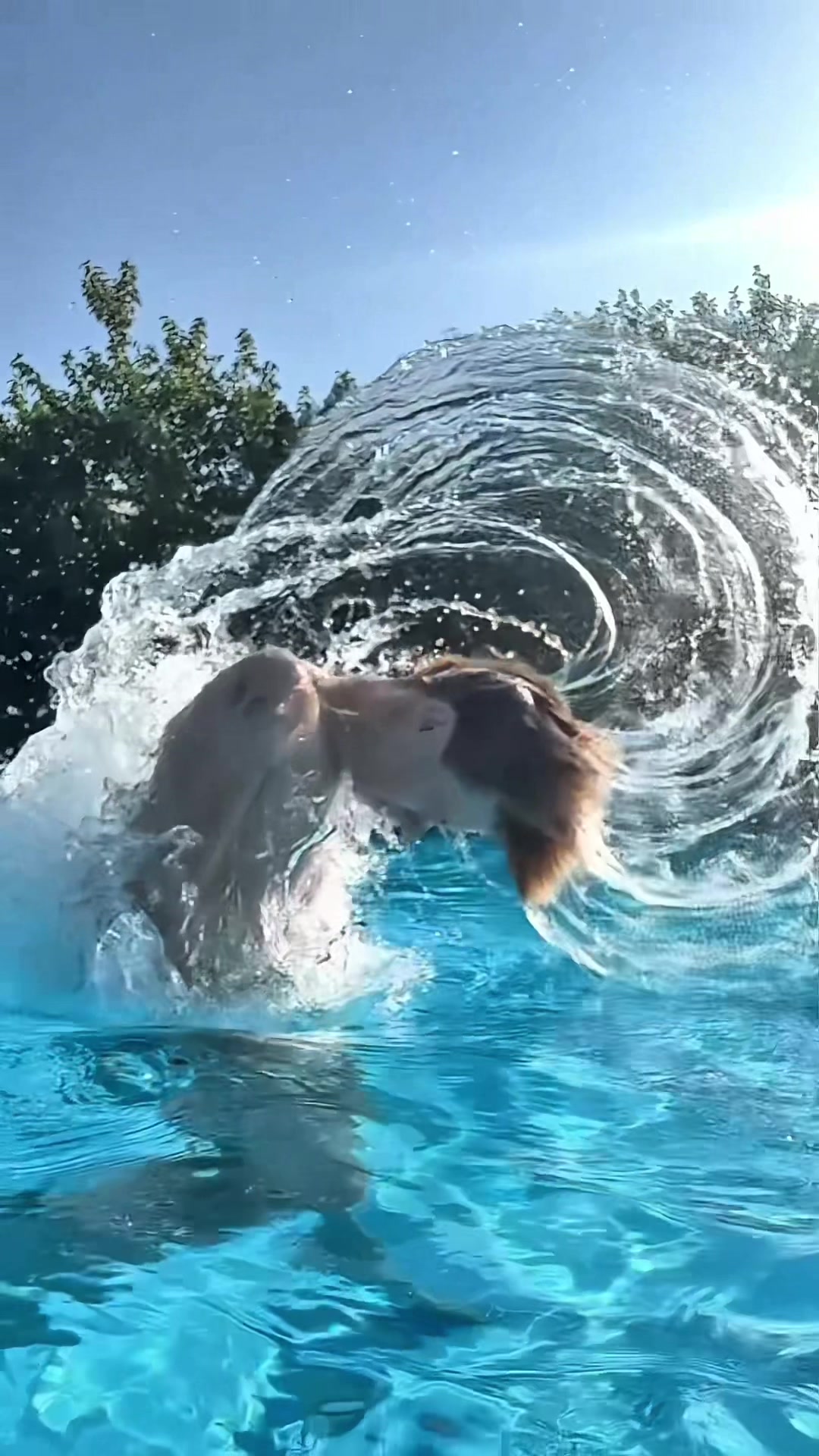 @ismatwink
