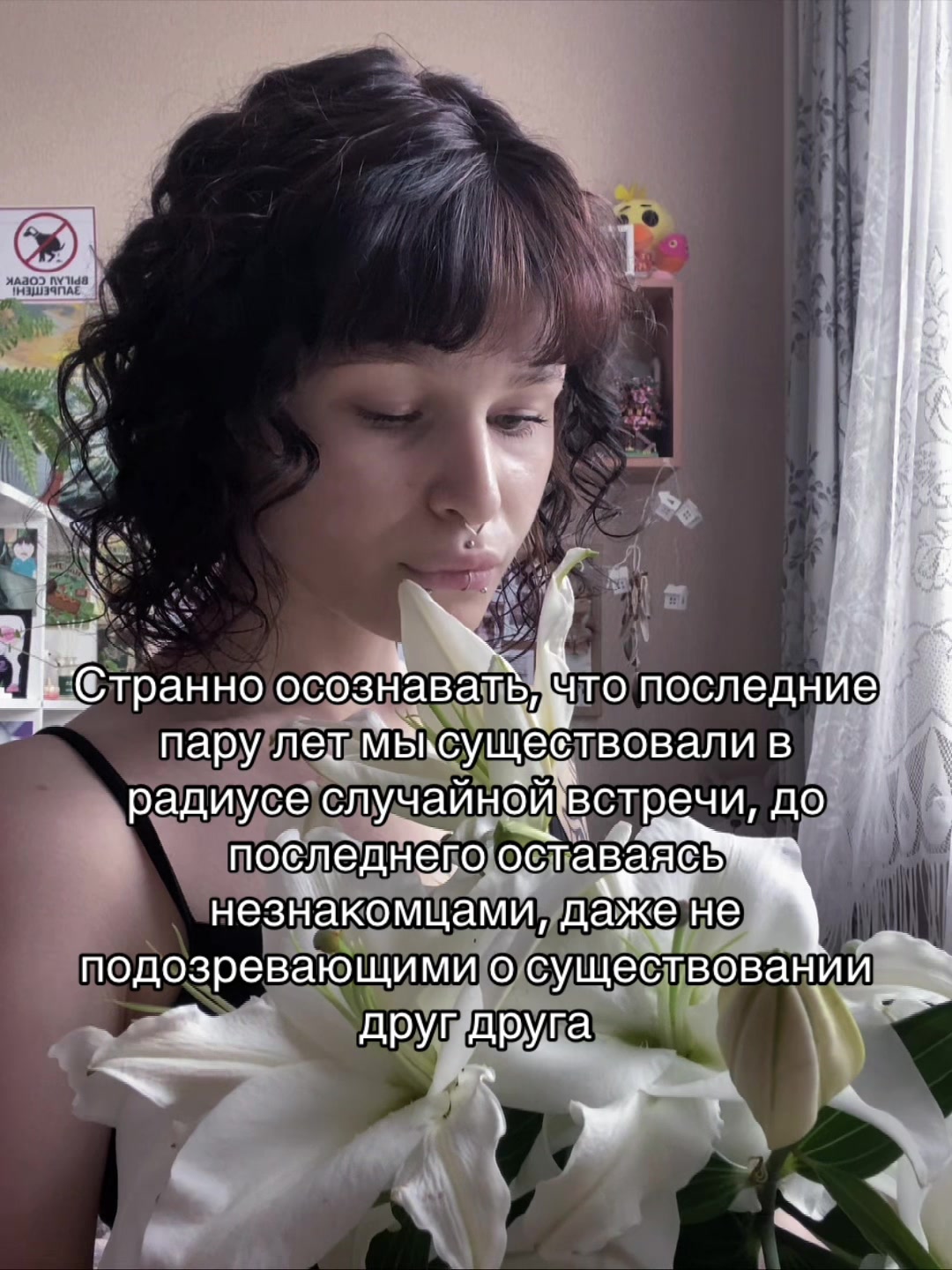 @Рапира