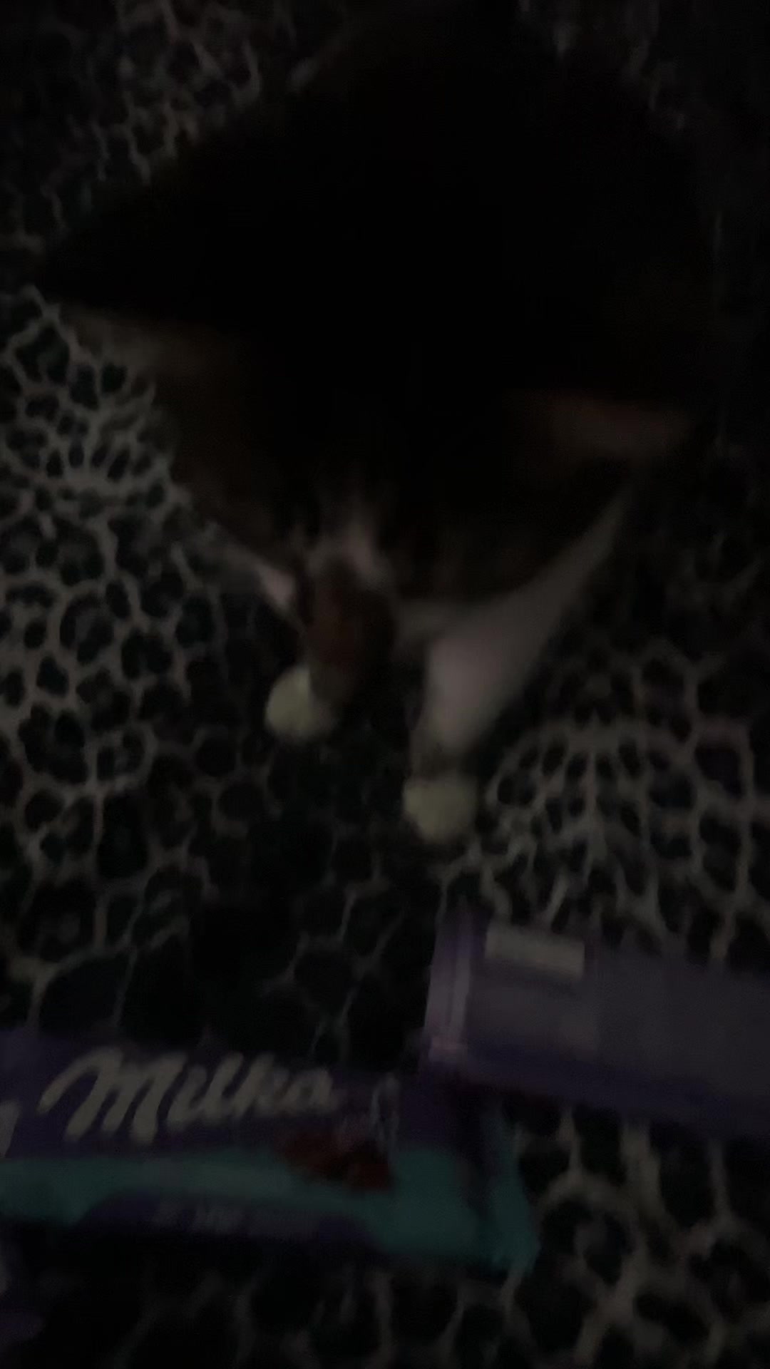 @єℓу