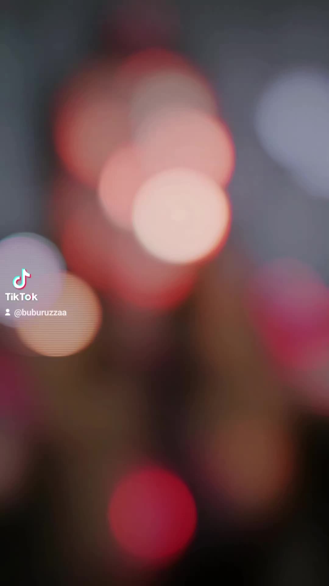 @bubu🐞