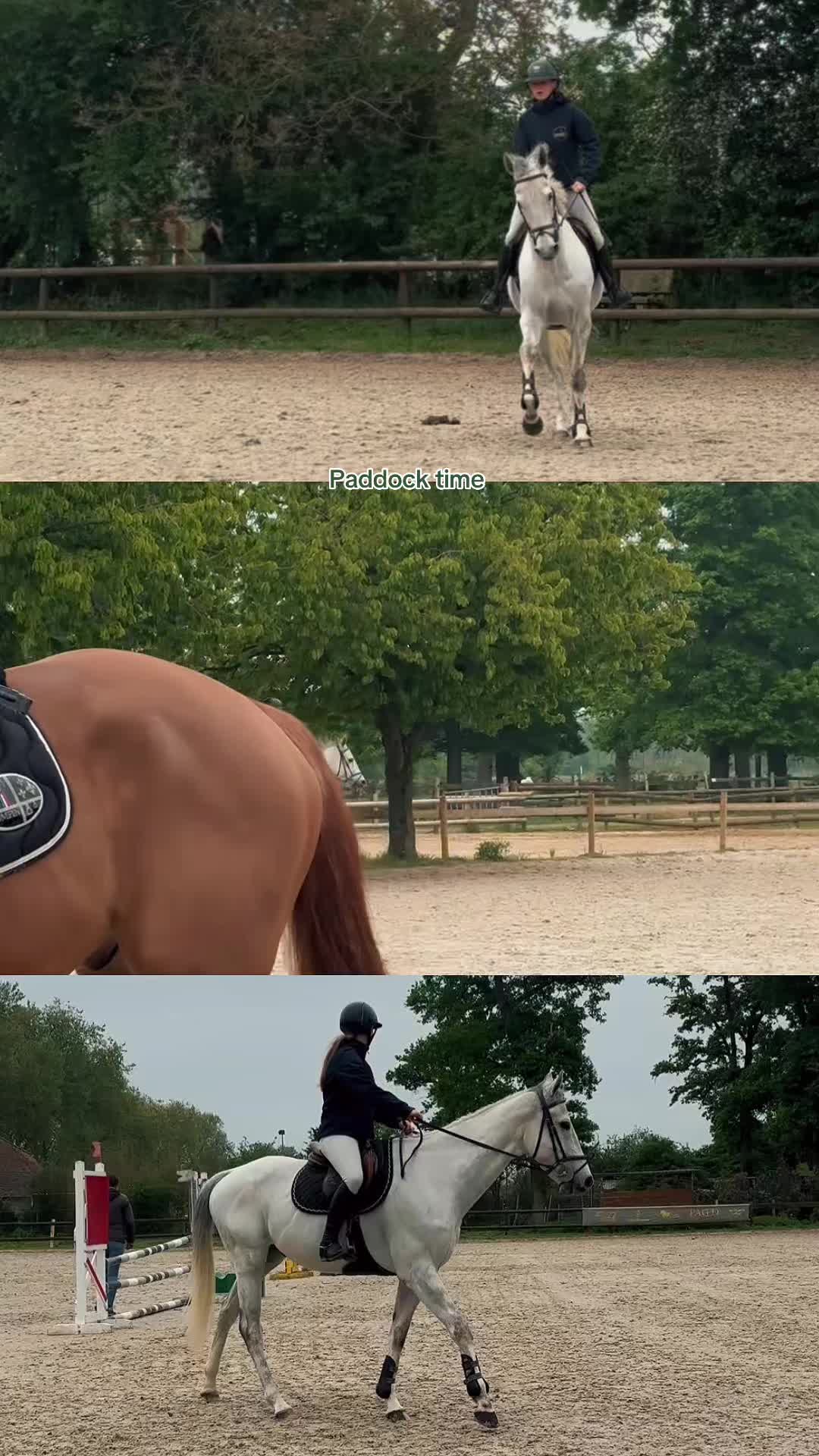 @maellegrt