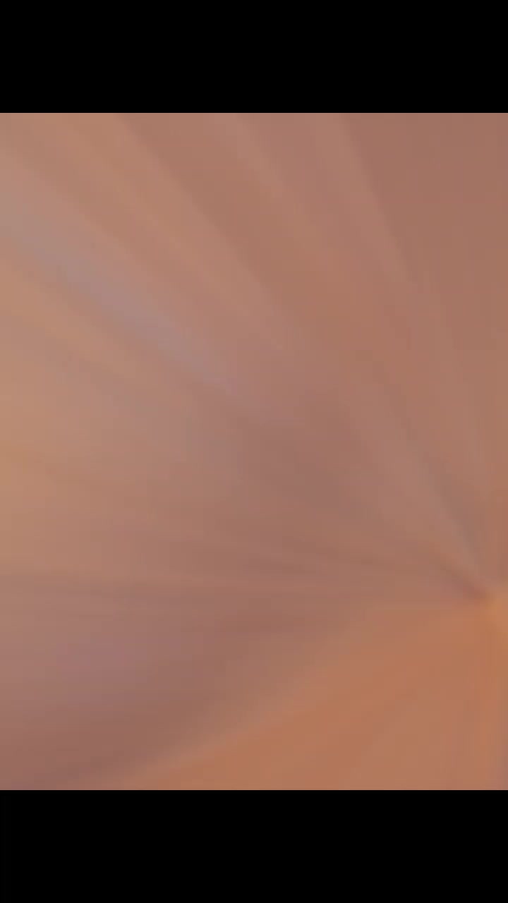 @thefreeroamer