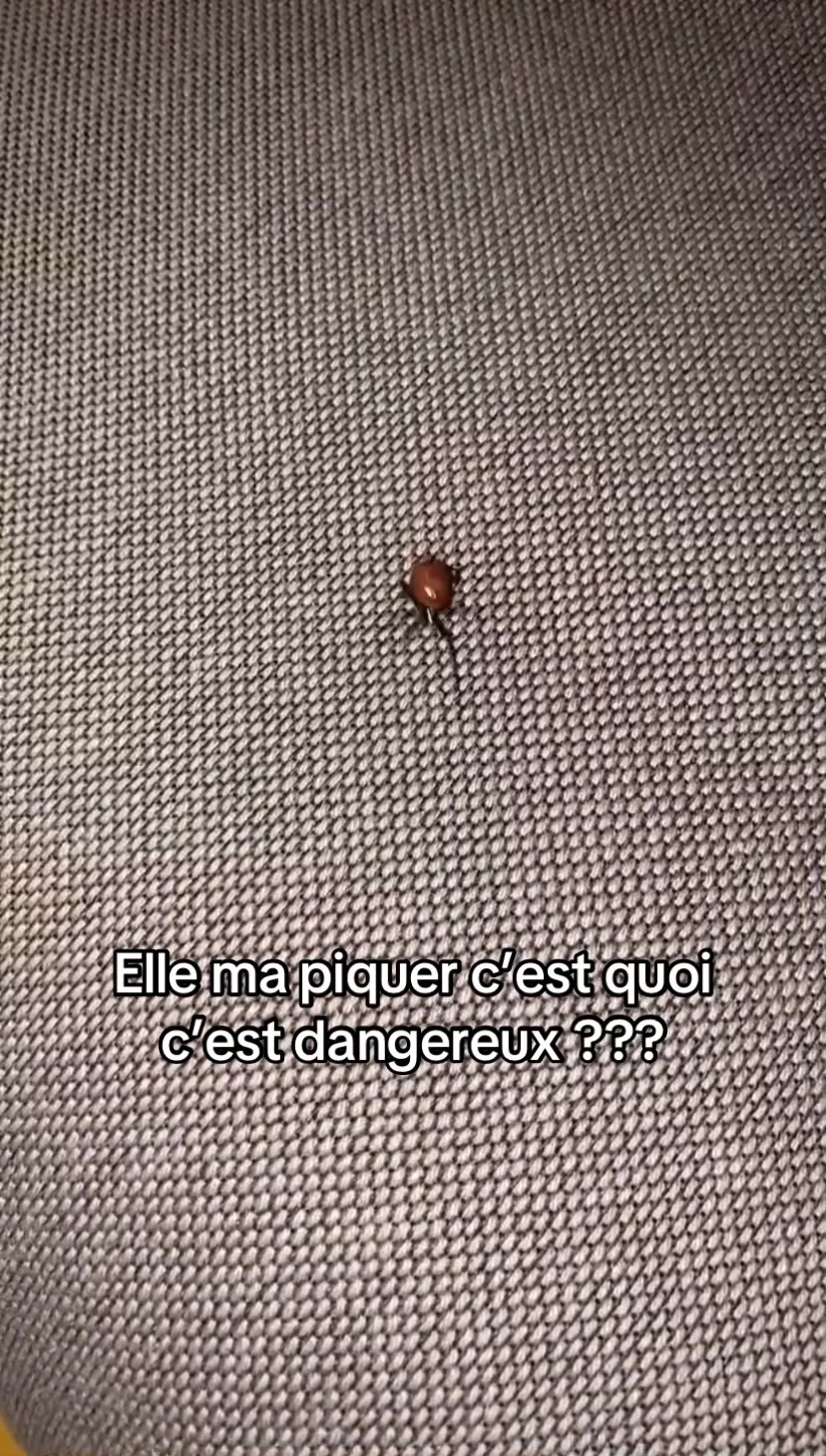 @Eneskoo75 🥊⚽️🗽🧿