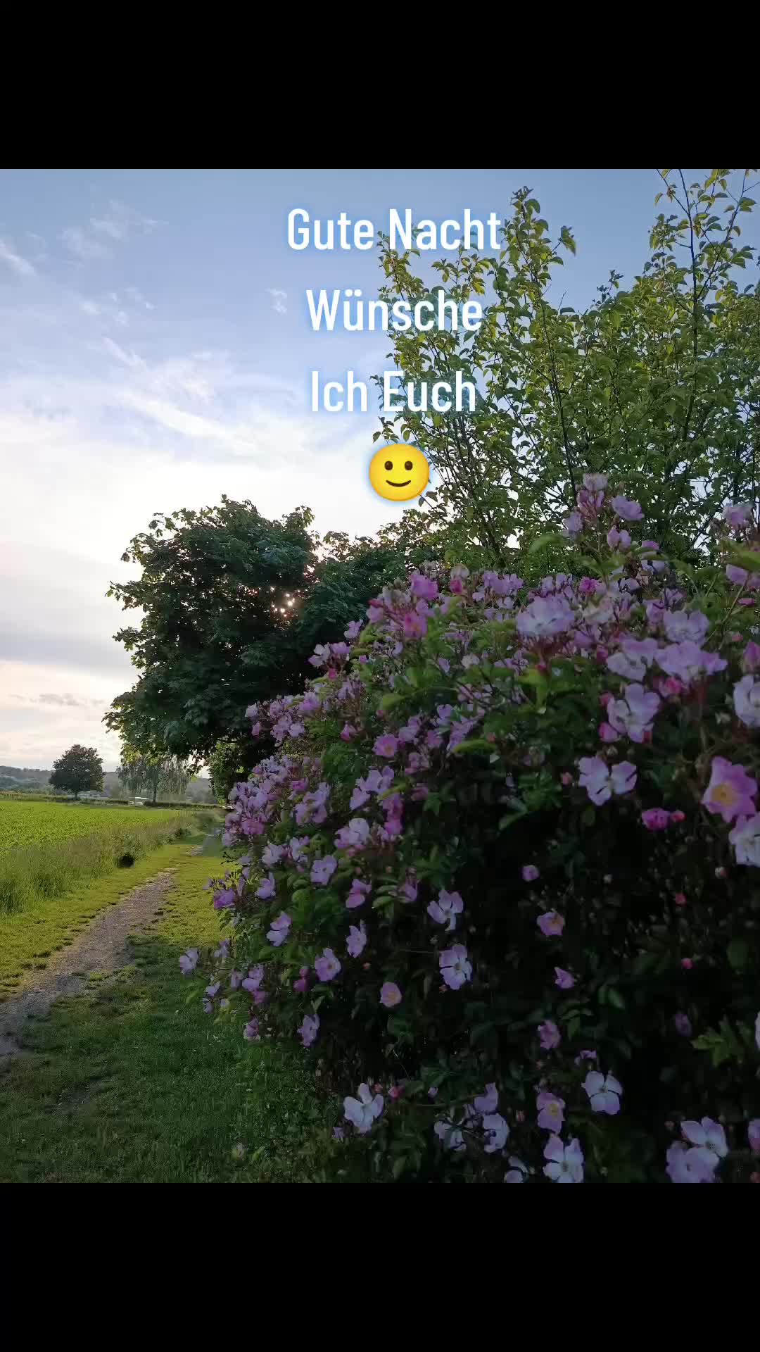 @44OLA4