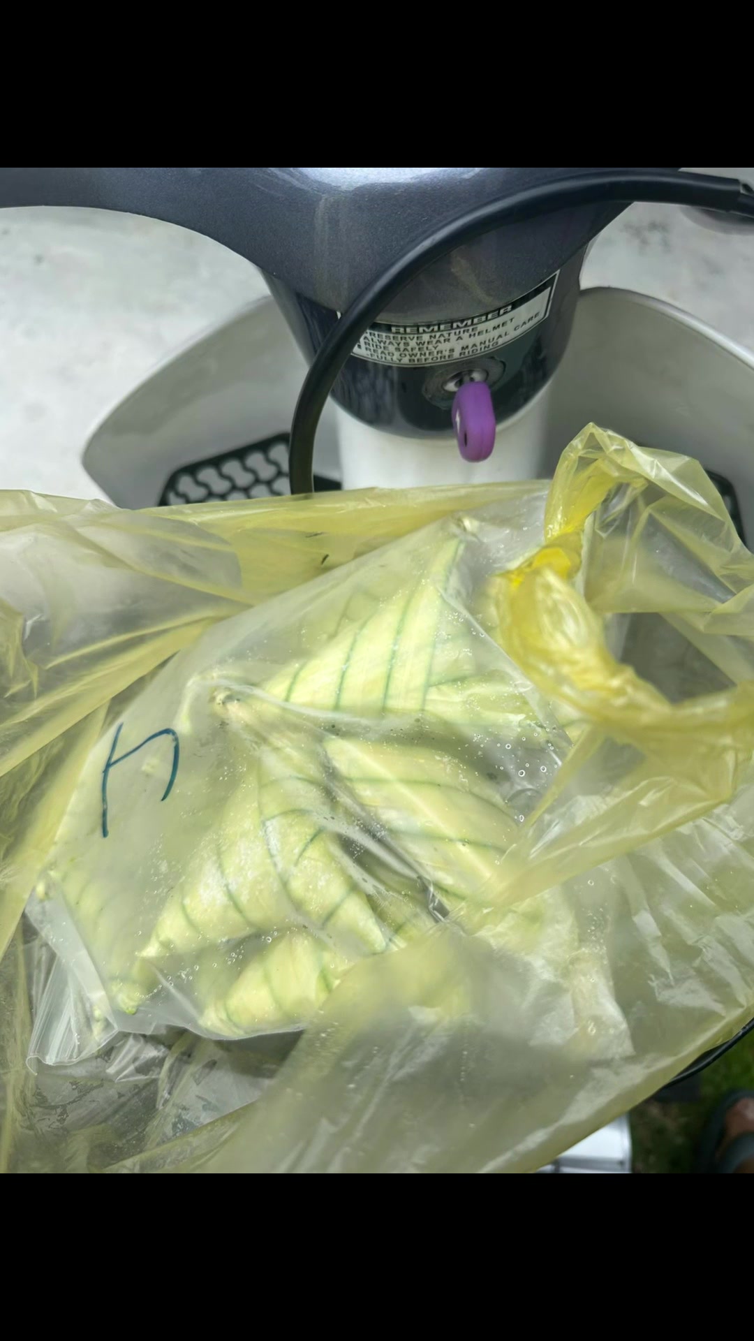 @Ketupat palas lgg