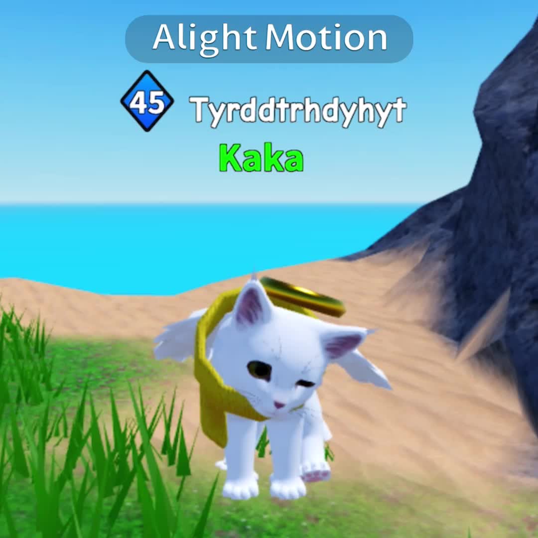 @Kaka