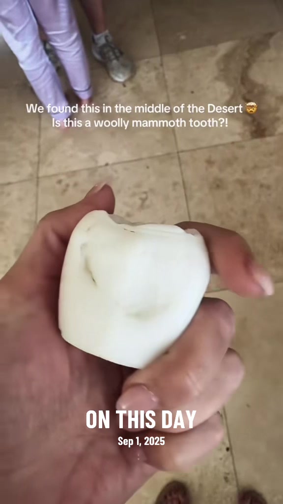 @Archaeowolf