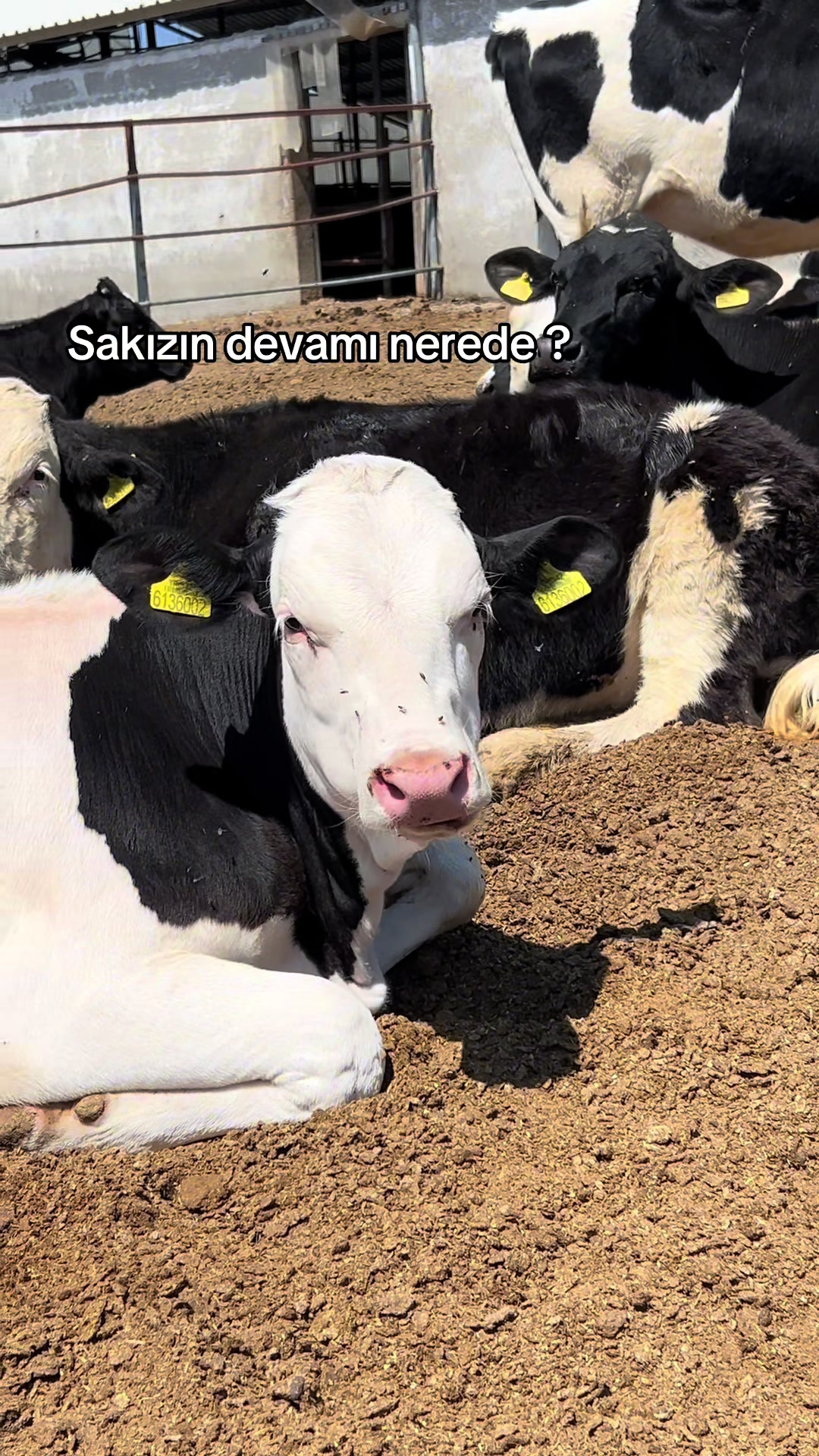 @EMİR AKTAŞ