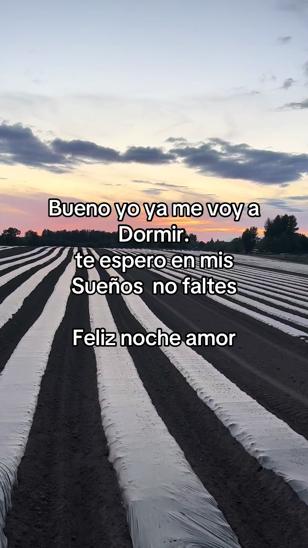 @pablocarbajal63