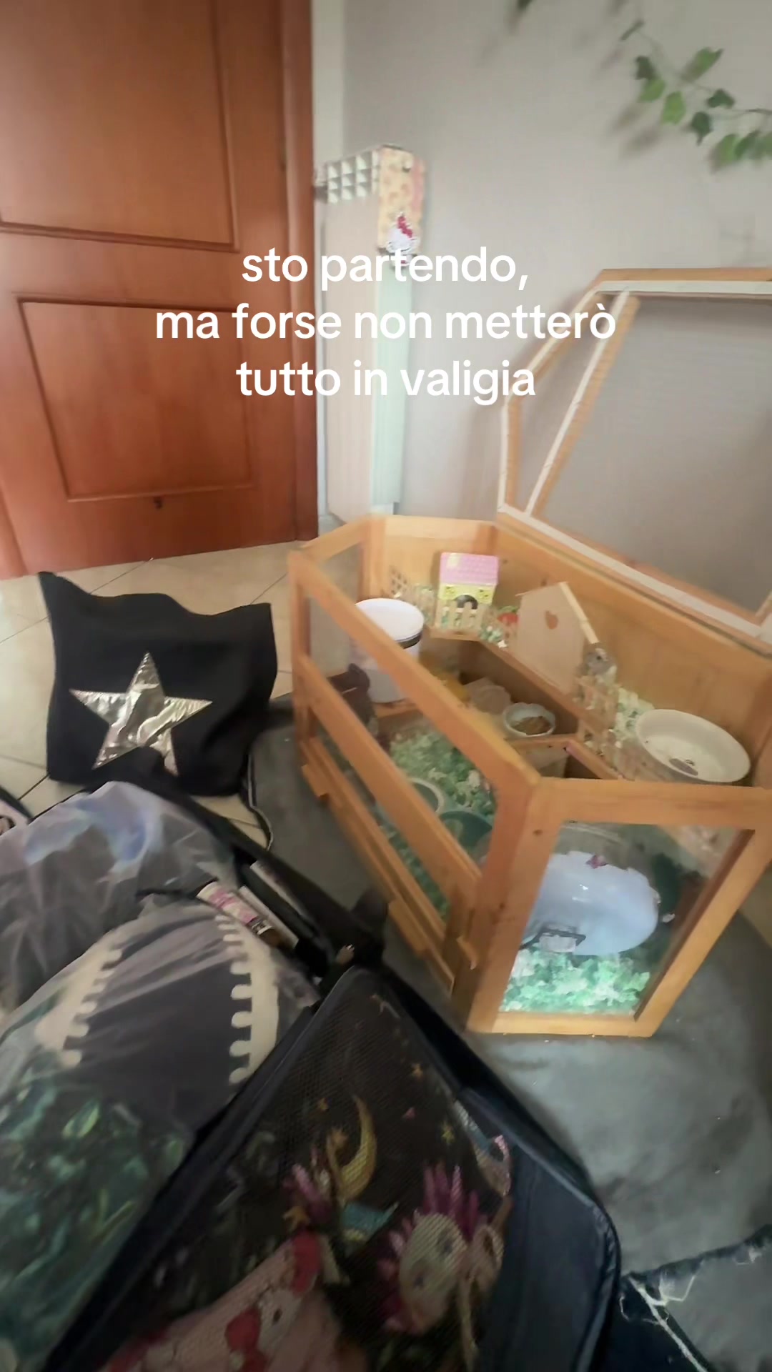 @Rí