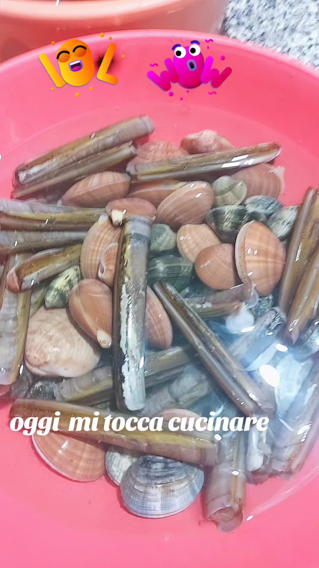@Immacolata