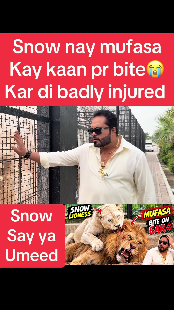 @Mian saqib