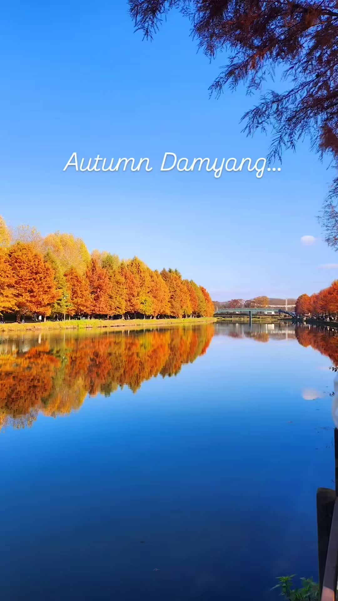 @_eun_sunny