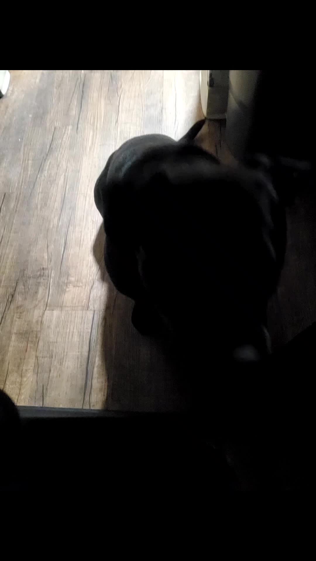 @Claudia Cabrera