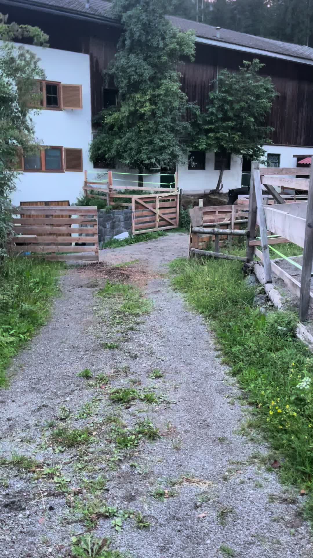 @Mountain Hill Ranch 🇦🇹