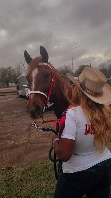 @Trailride Queen LMSW