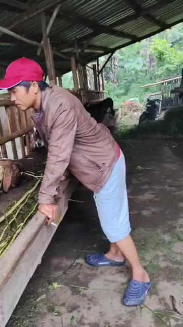 @SAM R.J.F
