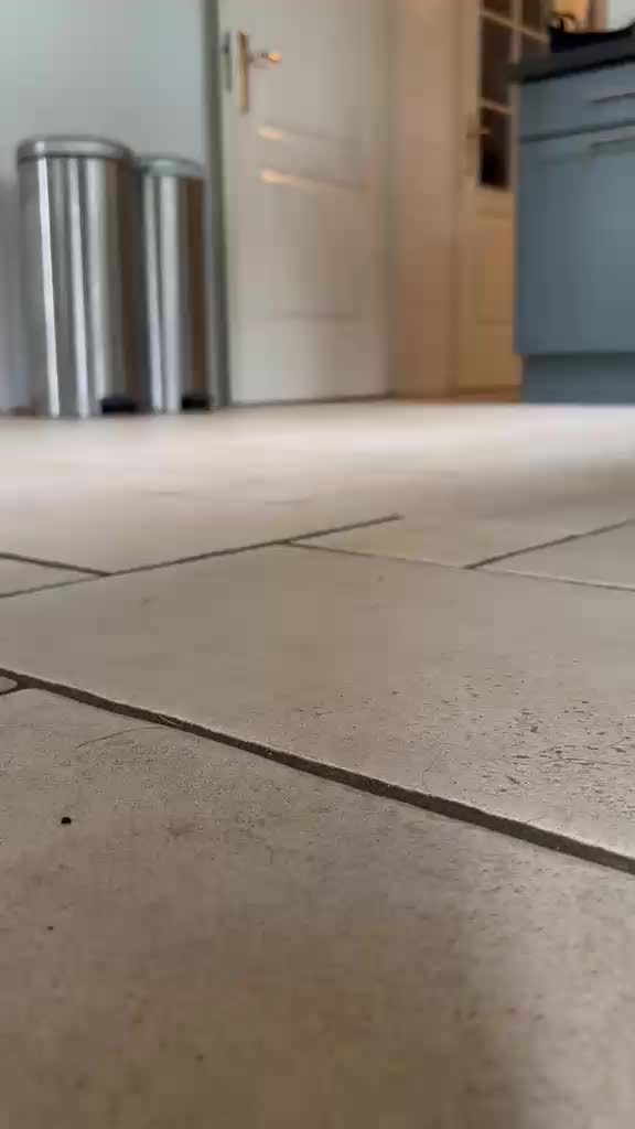 @rene eveleens tiktok