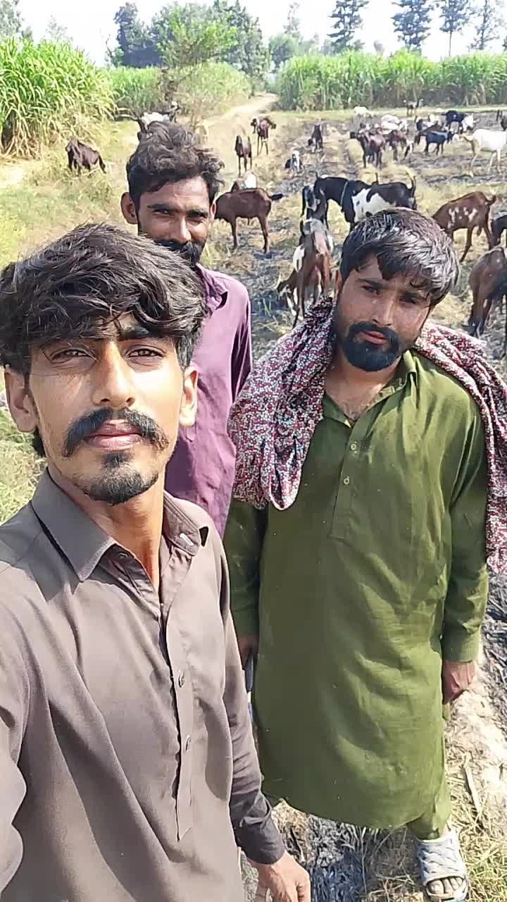 @Rehan Khan🇦🇺