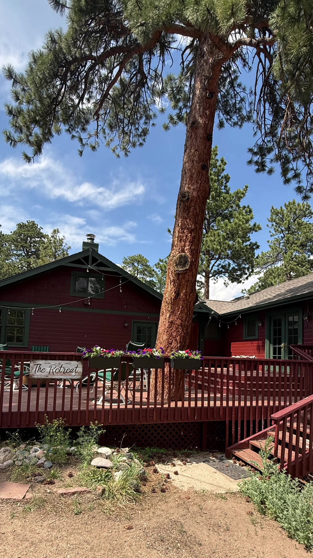 @Estes Pines