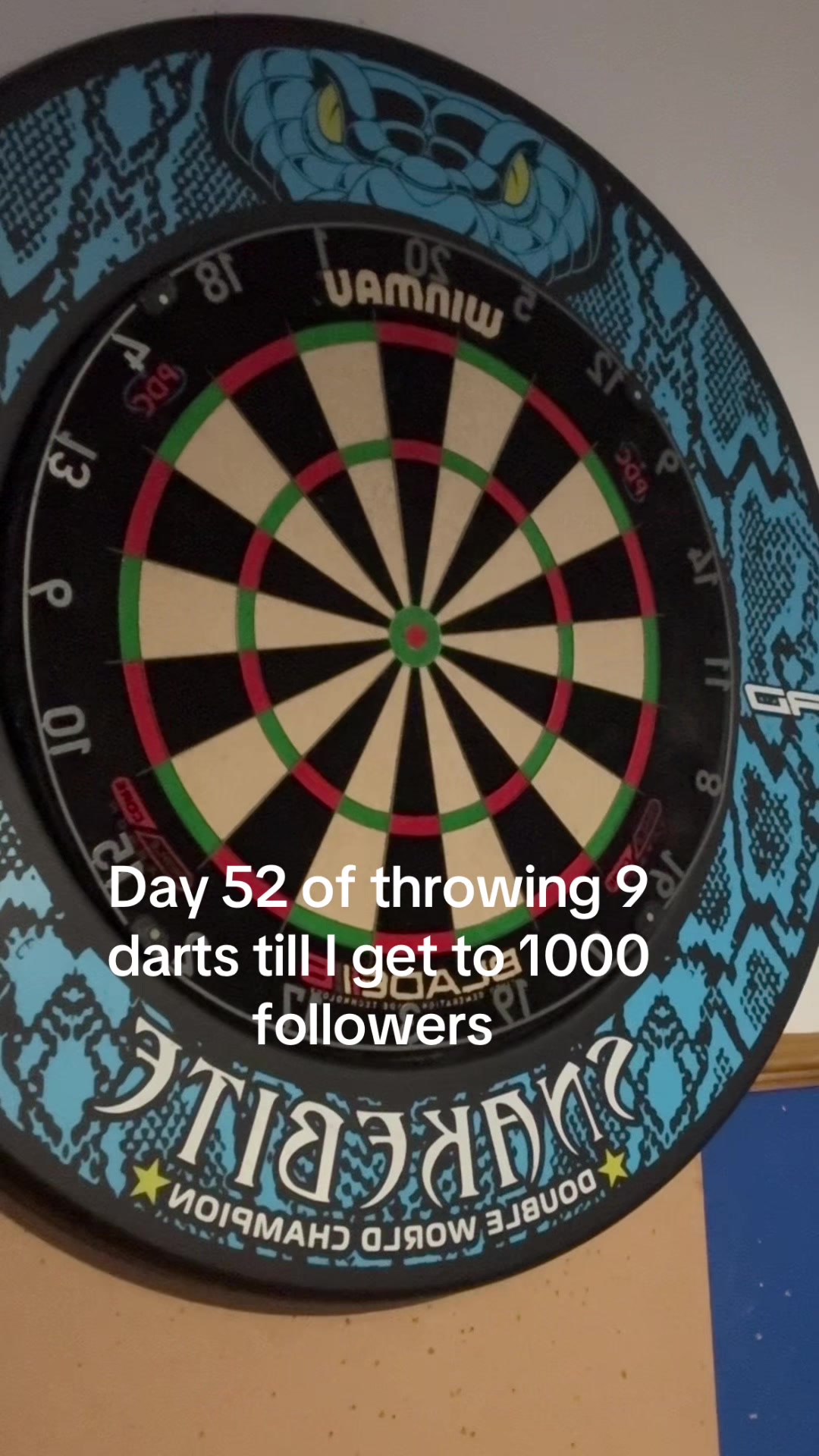 @ryan_darts2009