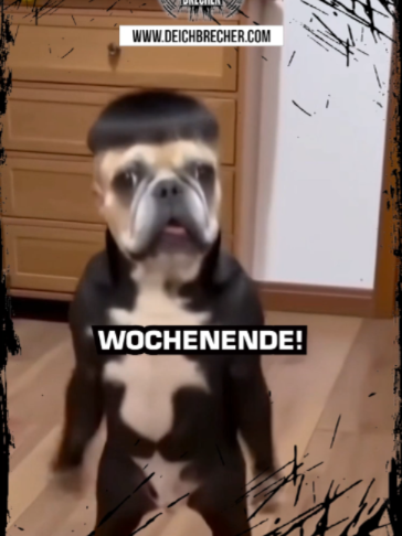 @💣DEICHBRECHER 💣