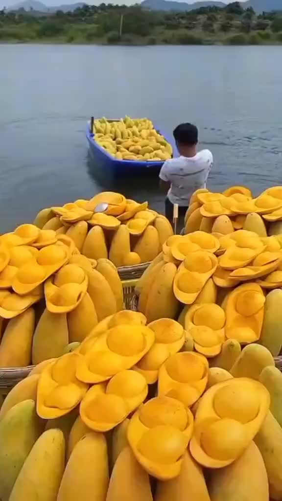 @fruits