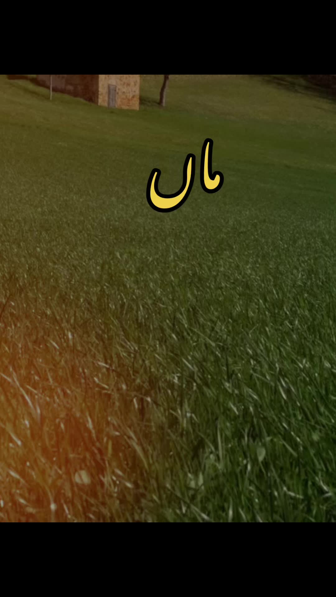 @Jat sab