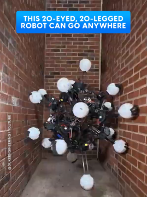 @Digital Trends