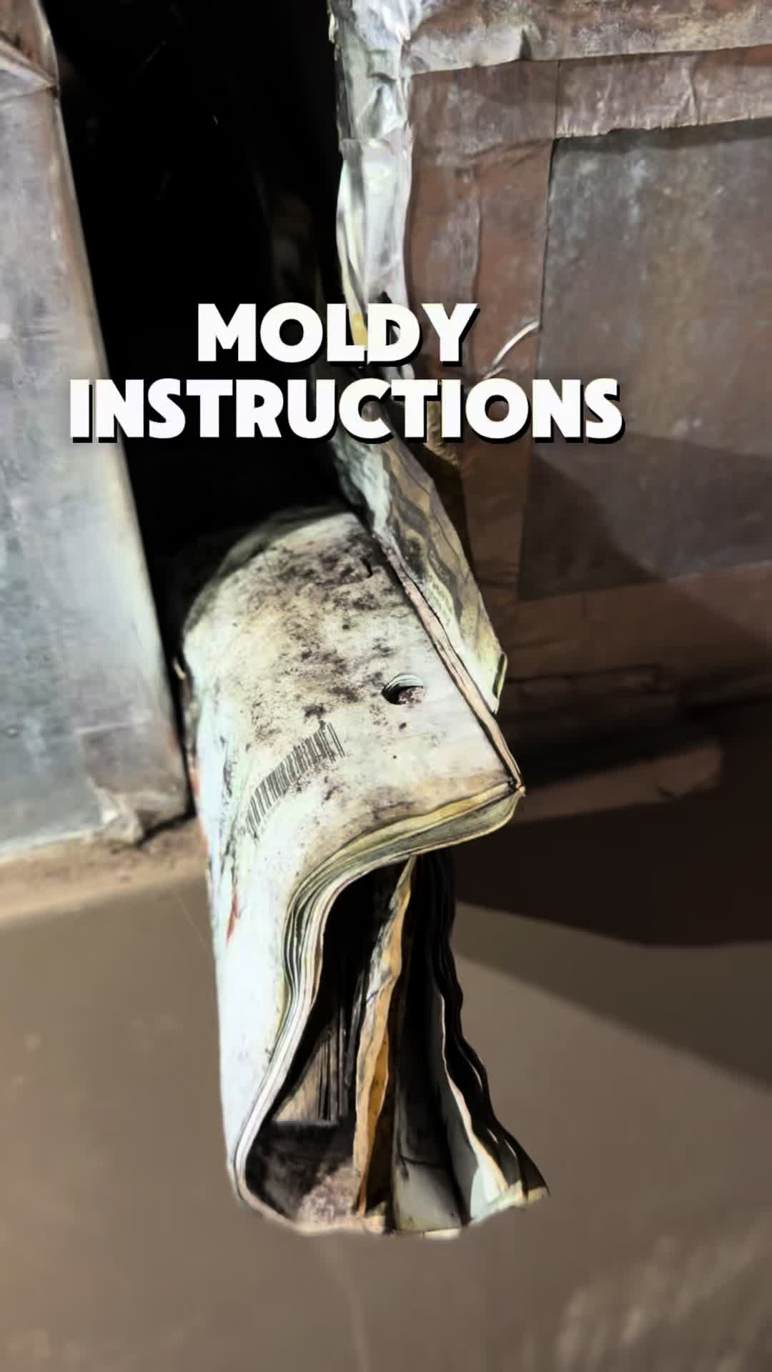 @Long Island Mold Guy