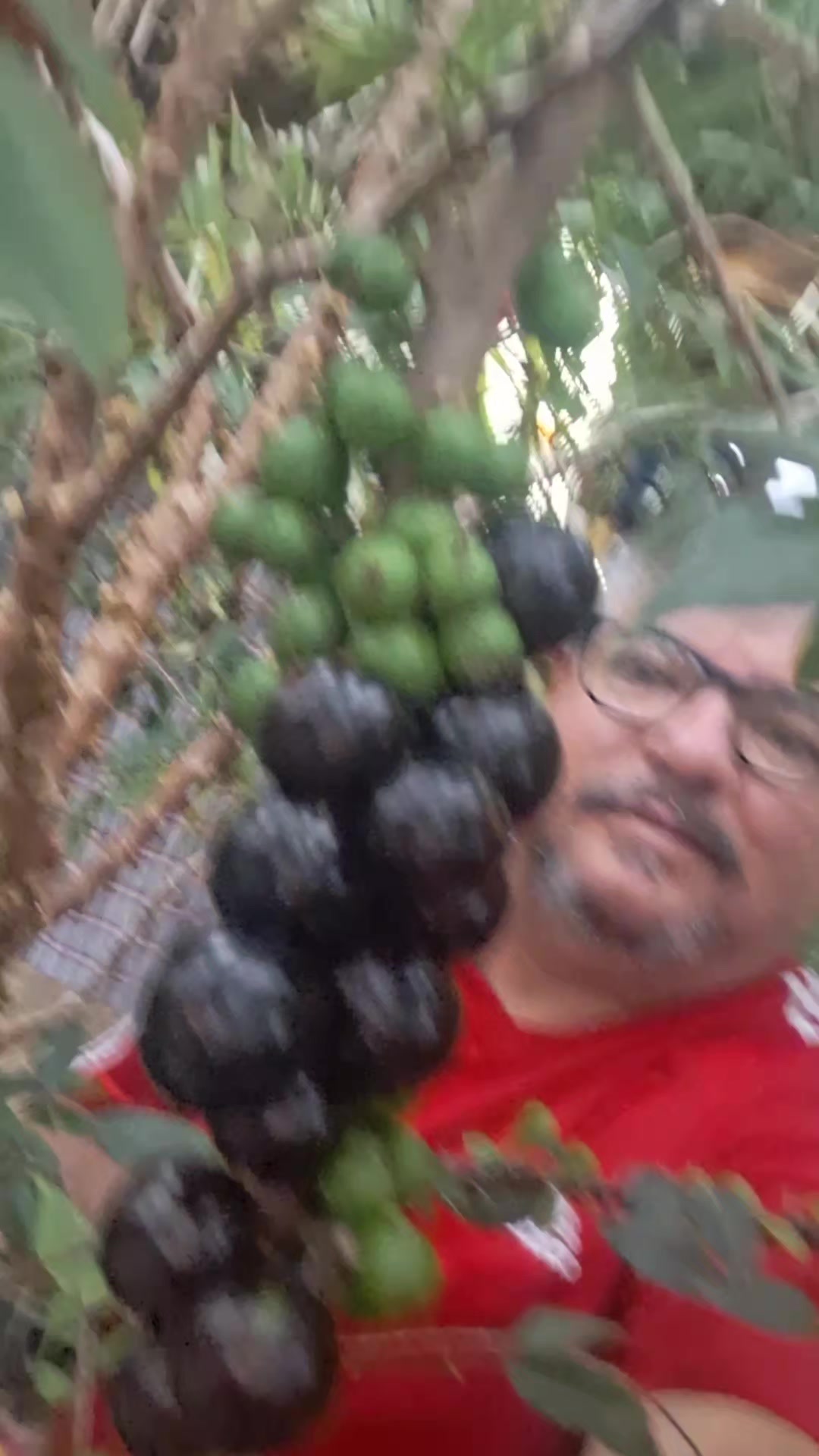 @ROÇA DO DRIM