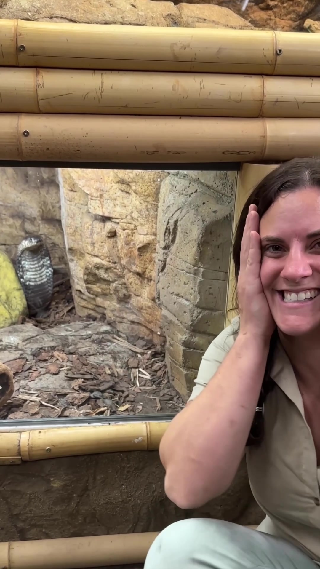 @The Reptile Zoo