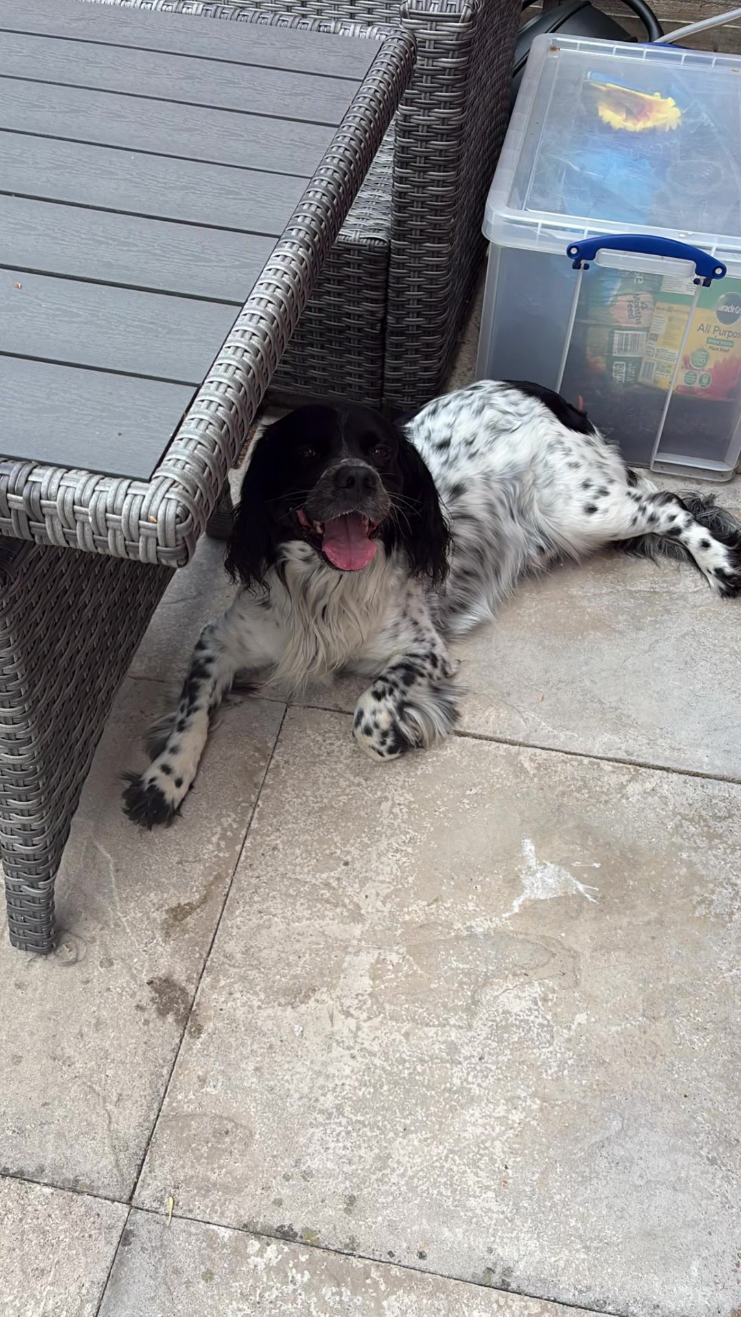 @tswoofwoof.co.uk