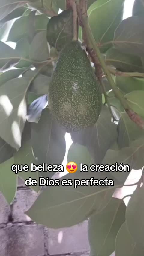 @juli^🇬🇹chapina 🇬🇹🫶😘