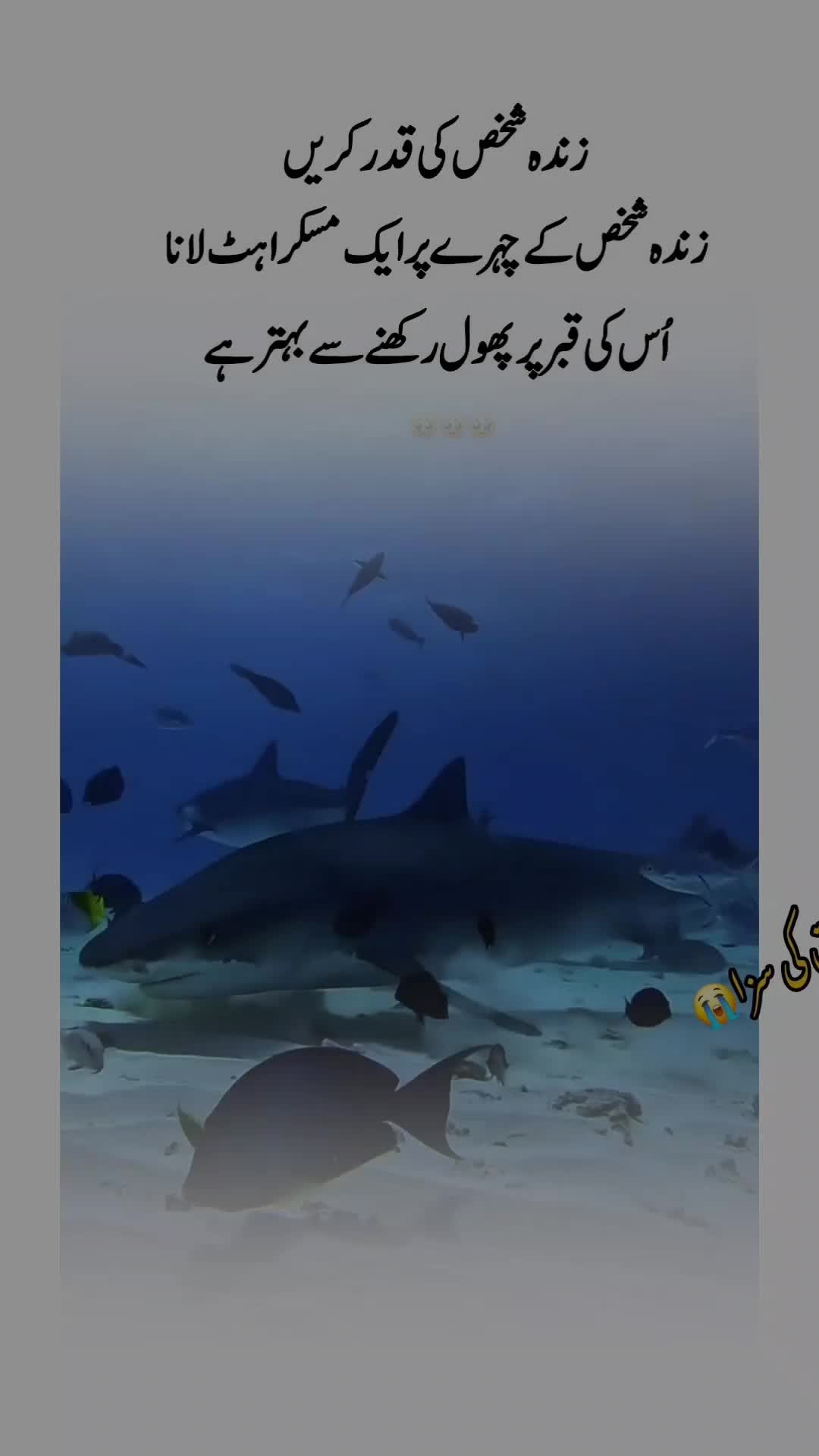 @😭عشق کی سزا 💔