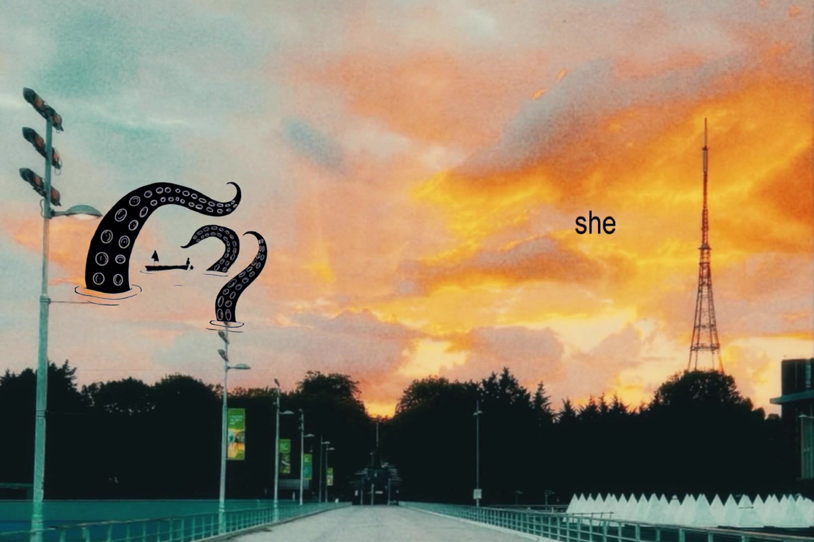 @⁺˚⋆｡&deg;✩ 𝚖𝚒𝚜𝚜𝚢 ✩&deg;｡⋆˚⁺