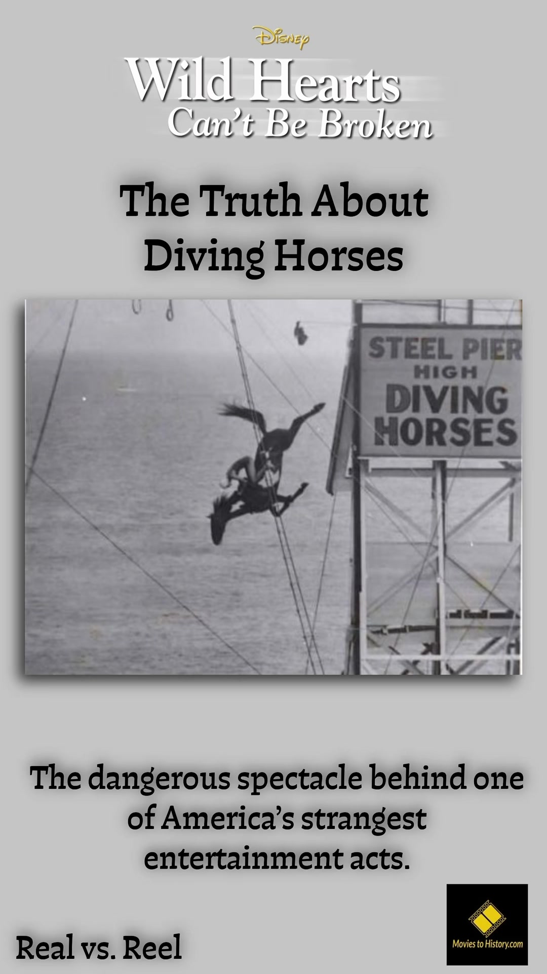 @MoviestoHistory.com
