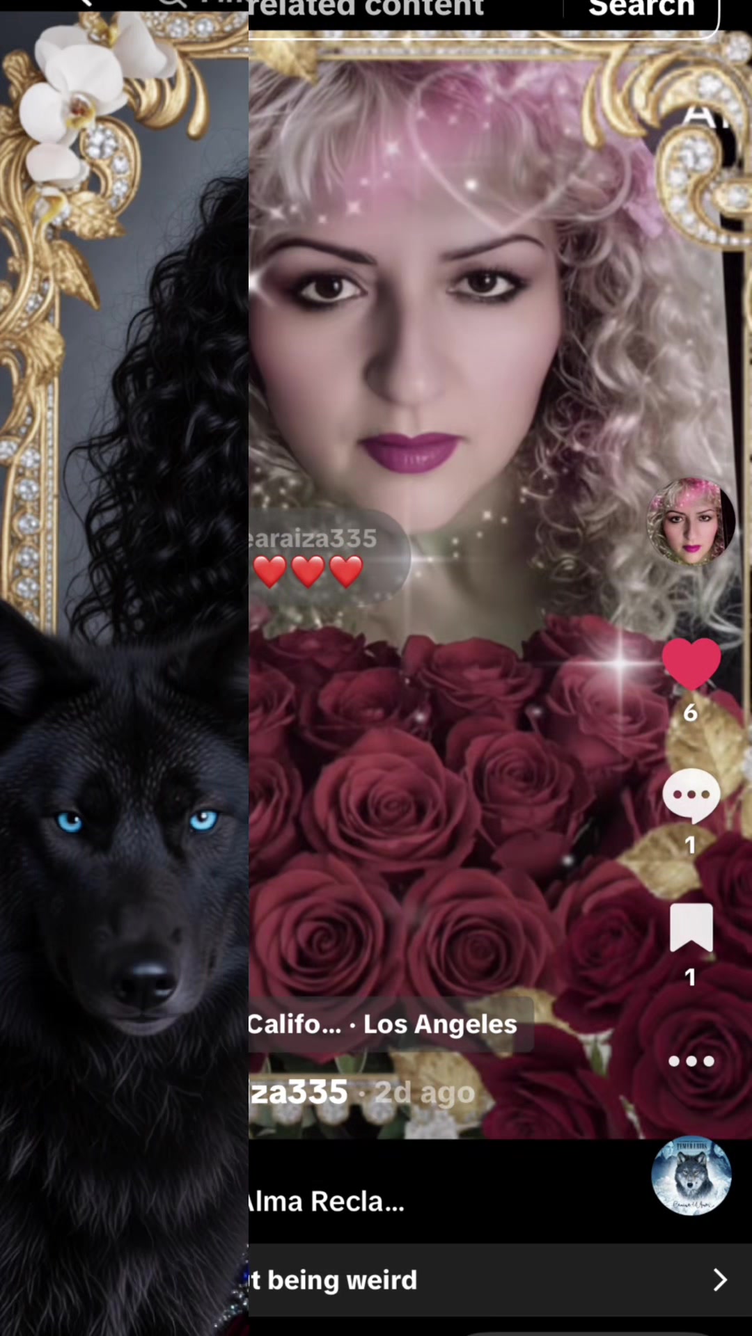 @guadalupearaiza335