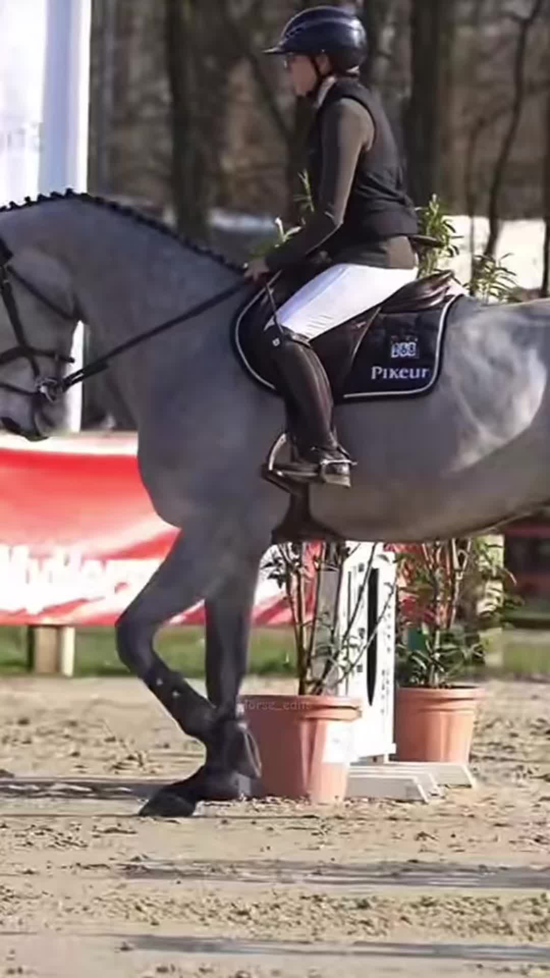 @horse_edits