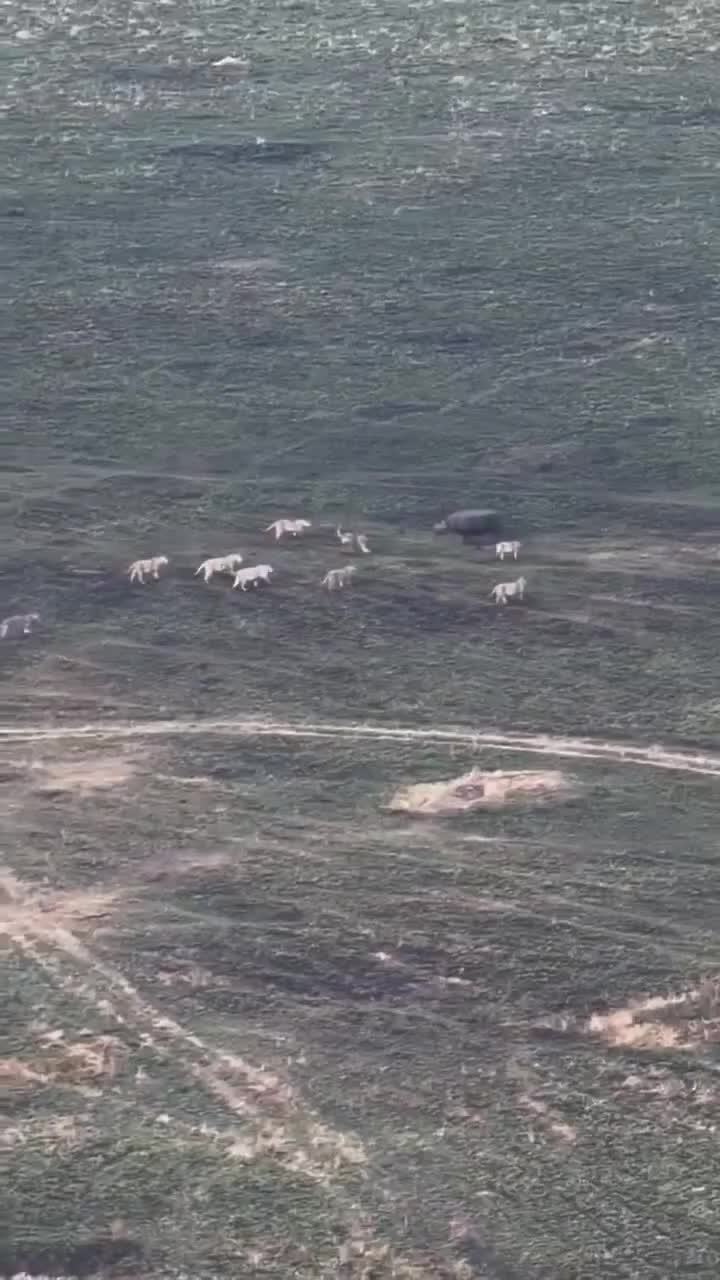 @Албена Граминова