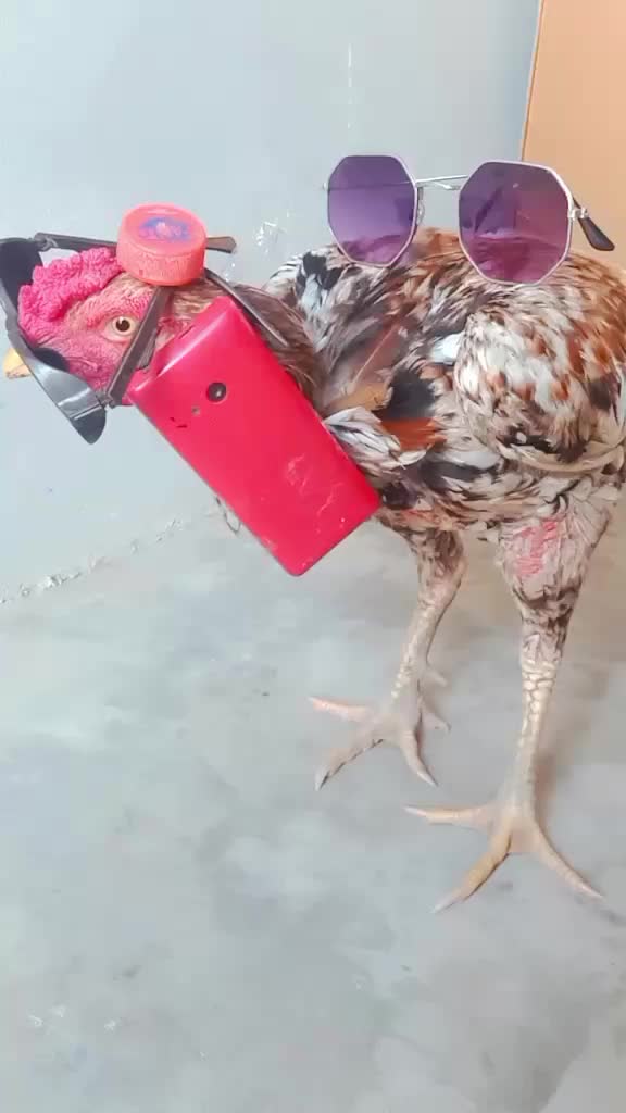 @Ayam 2