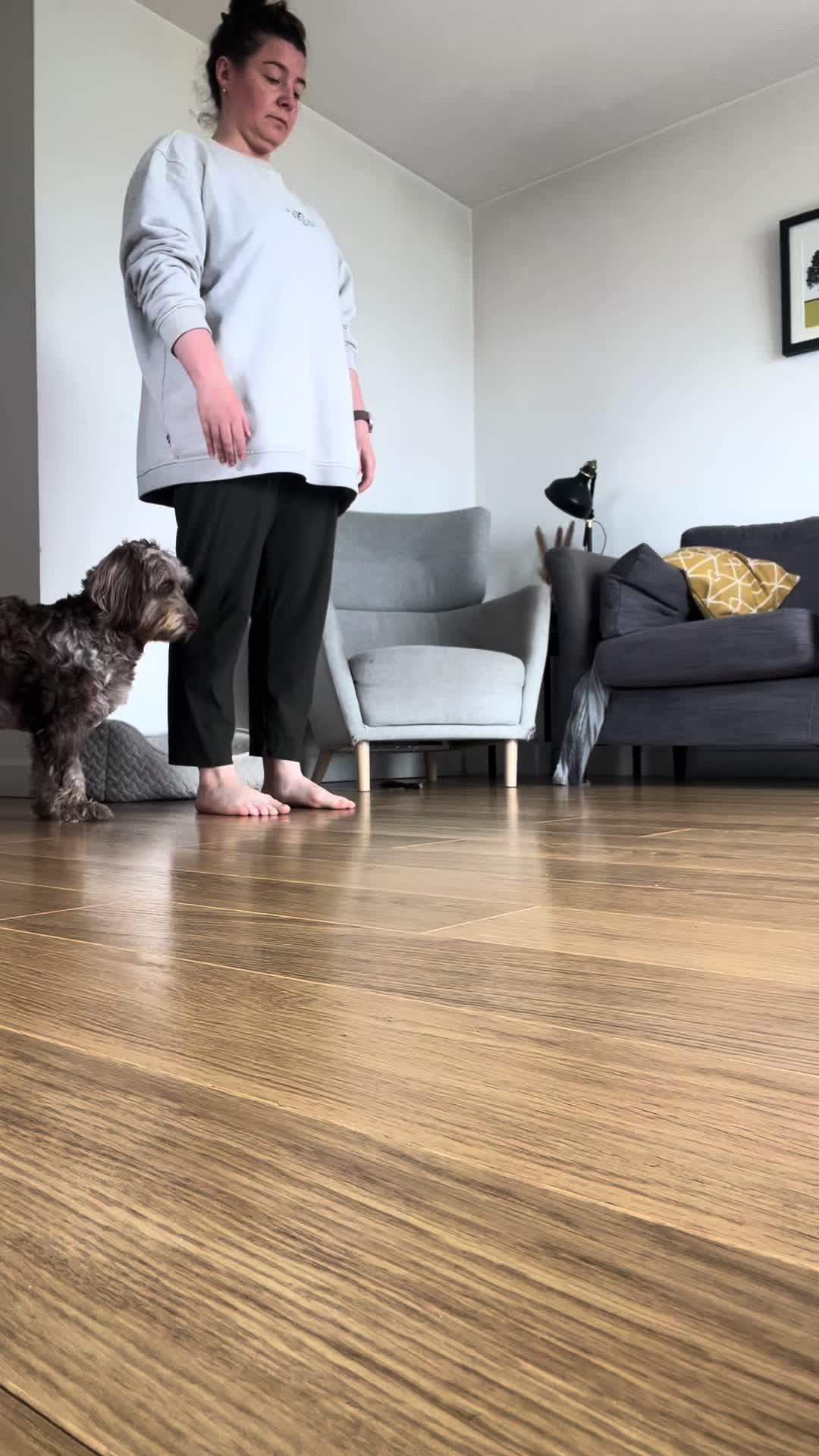 @pennythesprockerpoo