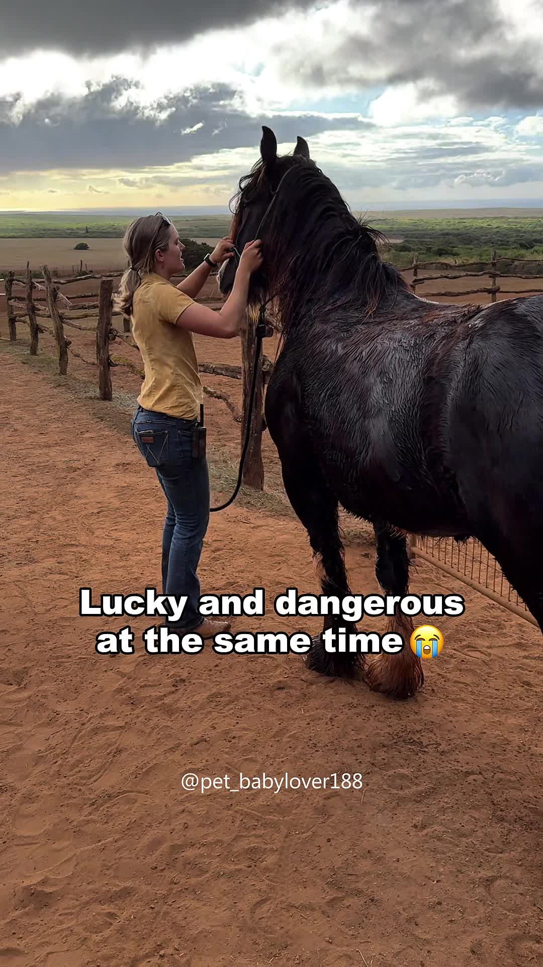 @Pet_babylover188