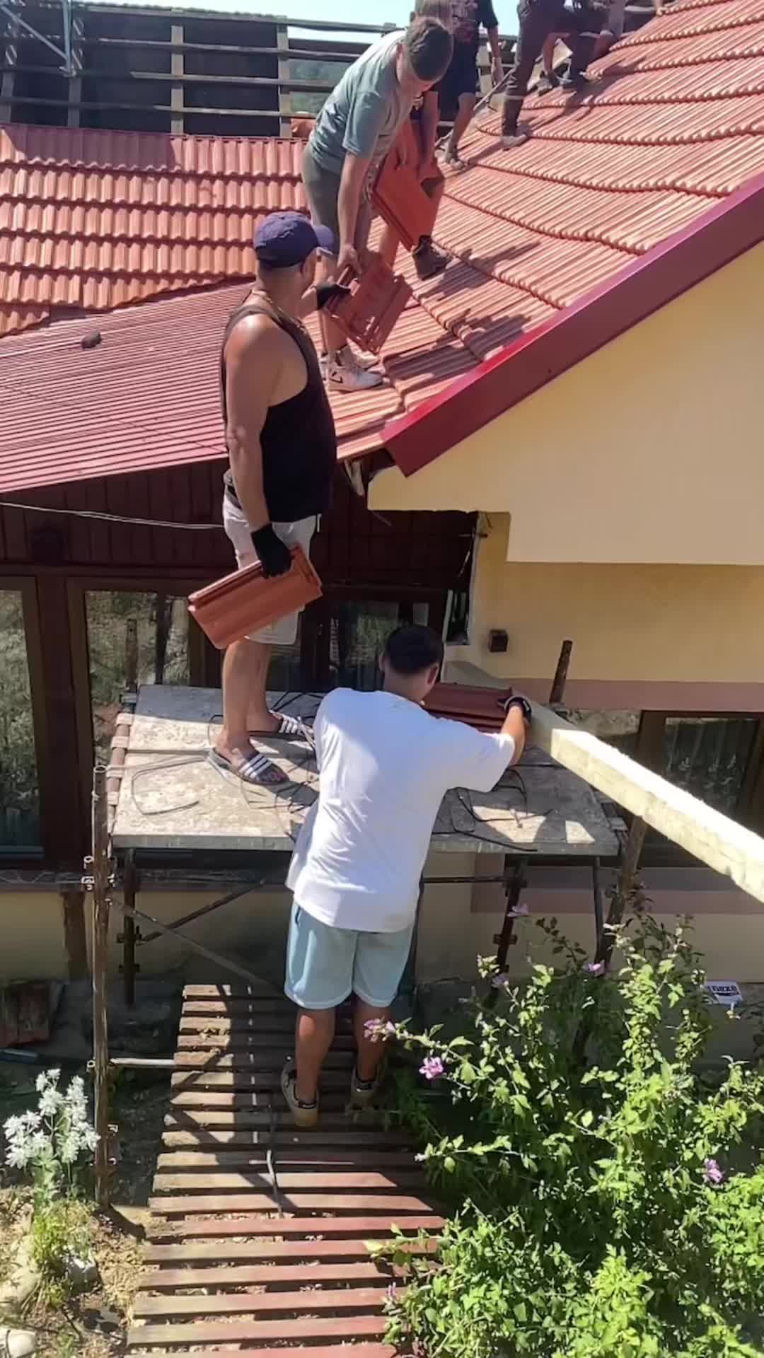 @Ana Maria Hoară